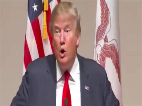 donald trump  acknowledged  stupidity   voters    video deadstate