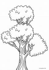 Tree Coloring Pages Printable Kids Cool2bkids Print Sheets Printables Beauty Flower sketch template