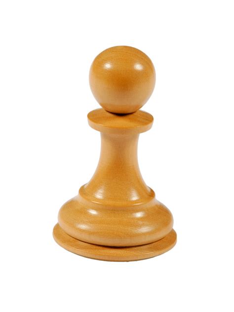 All About Chess Pieces Bishops Knights And Your Kingthe Regency Chess