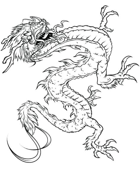 dragon coloring pages  printable coloring pages  kids