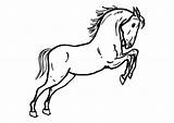 Cheval Caballo Saute Saltando Paard Pferd Springend Springendes Cavallo Malvorlage Cavalli Colorie Minou Ausmalbild Kleurplaten Printen sketch template