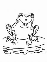 Frog Coloring Pages Tree Frogs Speckled Printable Five Frogadier Getcolorings Print Sheets Getdrawings Template Total Views sketch template