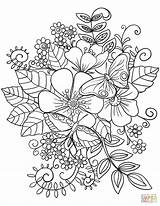 Coloring Pages Flowers Flower Printable Adult Choose Board sketch template