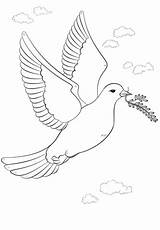 Dove Coloring Olive Branch Peace Pages Printable Crafts Choose Board Doves Supercoloring sketch template