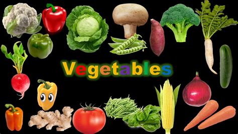 learn vegetables  pictures  kids  toddlers easy  simple