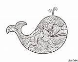 Whale Zentangle Coloring Adult Cool Color Pages sketch template