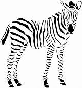 Zebra Coloring Pages Animals sketch template