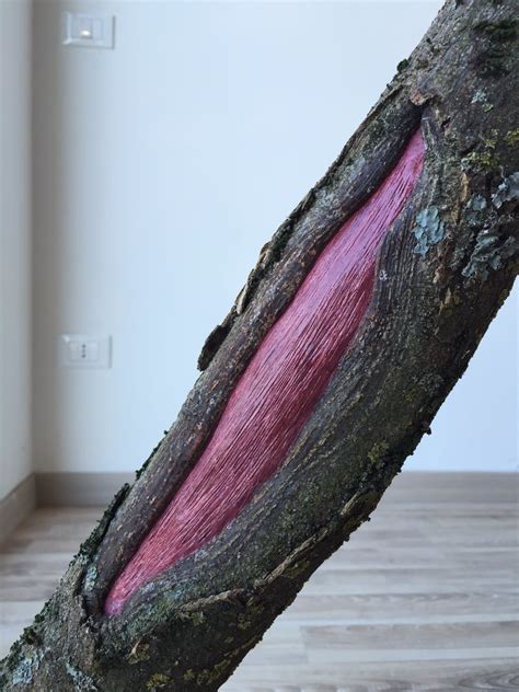 pin  jago su jago artist muscolo vegetale sculpture  ramo abbandonato opera