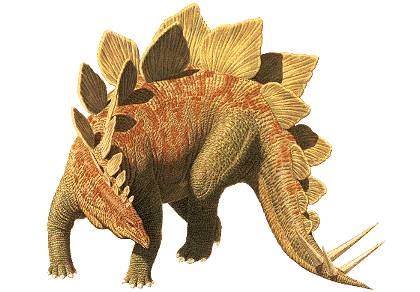 stegosaurus rate  animal