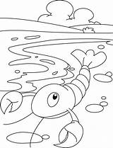 Lobster Bestcoloringpages sketch template