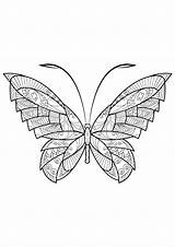 Butterfly Coloring Beautiful Patterns Pages Insects Printable sketch template