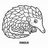 Pangolin Clipart Coloring Book Vector Children Stock Shutterstock 26kb 450px Designlooter 470px 14kb sketch template