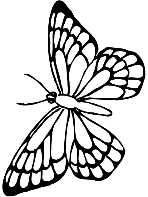 butterfly coloring pages primarygamescom butterfly outline