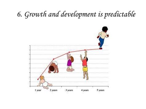 principles  growth  development