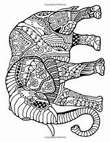 Coloring Pages Elephant Printable Adults Animal Adult Zentangle Animals Special Pandora Awesome Print Bracelet Stress Elephants Board Color Book Management sketch template