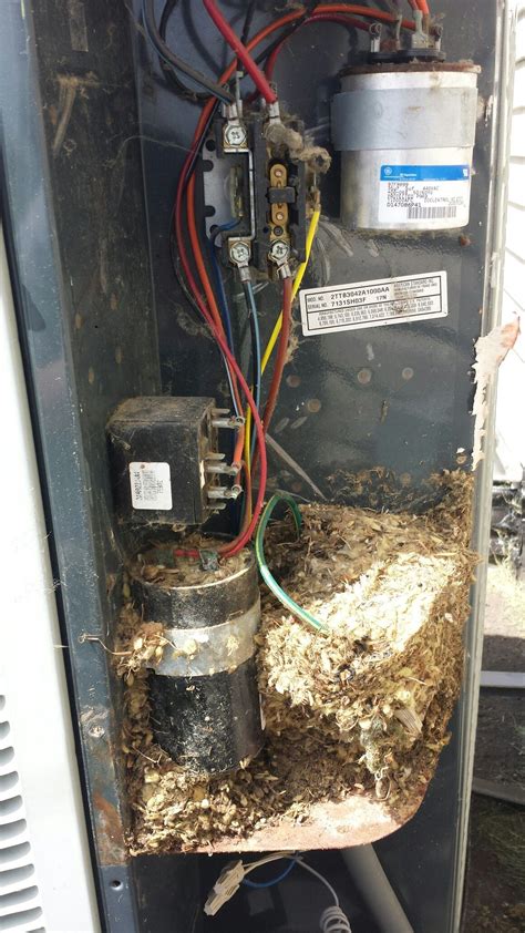 mouse nest  air conditioner service compartment   failure air conditioner service