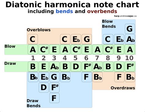 note layout charts custom harmonicas  andrew zajac