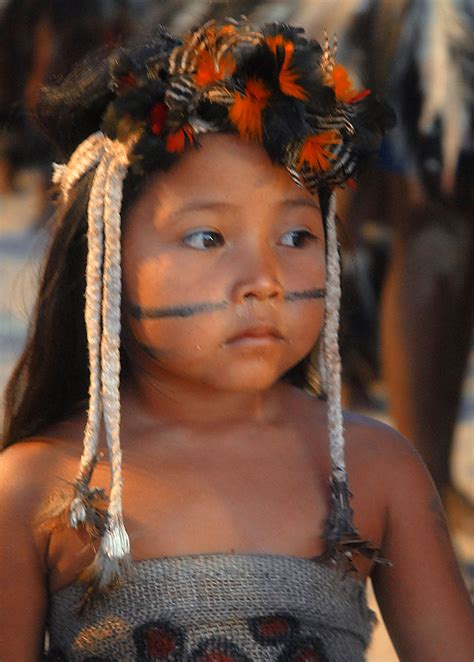 indigenous peoples  brazil wikipedia
