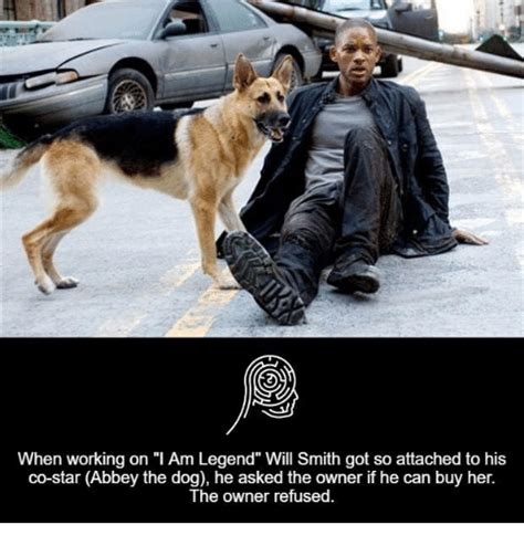 25 Best Memes About I Am Legend Will Smith I Am Legend