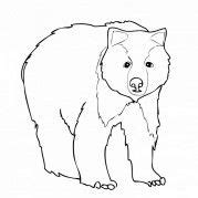 realistic bear coloring pages bear coloring pages art lessons middle