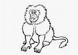Coloring Baboon Pages Baboons Colouring Animal Templates Cartoon Template Kids Print sketch template