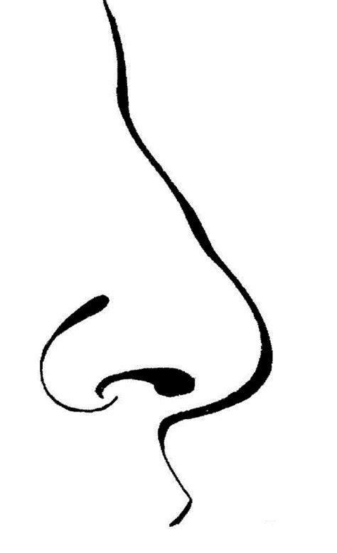 nose coloring pages