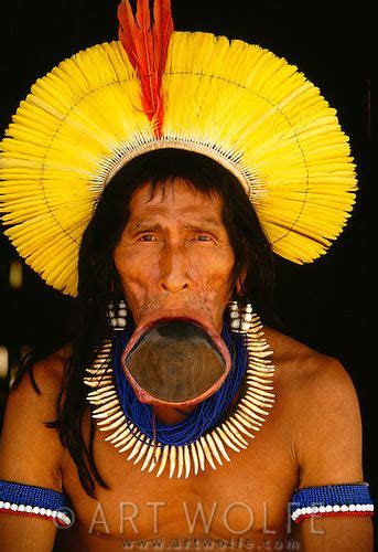 portrait of elder kayapo para state brazil indios brasileiros Índio brasil e povos