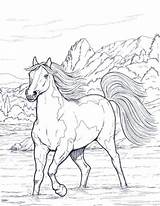 Colorir Cavalos Desenhos Horses Bestcoloringpagesforkids Caballos Volwassenen Cavalo Pesquisa Bojanje Kleurplaten Konja Stranice Odrasle Horeses Andalusian sketch template