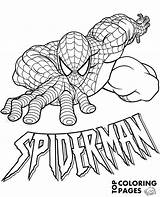 Spiderman Coloring Amazing Spider Man Print Pages Color Sheet Marvel Logo Topcoloringpages Books Boys sketch template
