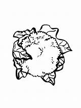 Coloring Cauliflower Pages Vegetables sketch template