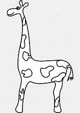 Coloriage Ausmalbild Girafe Jerapah Mewarnai Hewan sketch template