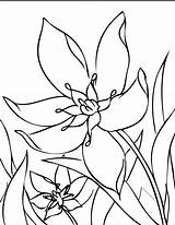 Coloring Pages Flower Flowers Color Spring Colouring Printable Print Sheets Garden Visit Choose Board sketch template