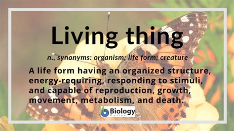 living  definition  examples biology  dictionary