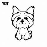 Yorkie Puppy Teacup Yorkshire Terrier Colorat Broderie Coloreo Planse Pisica Domestice Animale sketch template