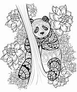 Panda Zentangle sketch template