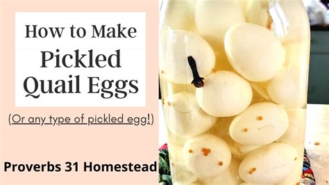 Making Pickled Quail Eggs Or Any Type Of Pickled Egg Youtube