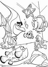 Nemo Acquario Pesci Gdzie Kolorowanka Wydruku Ricerca Malowanka Kolorowanki Nemos Akwarium Dory Malowanki Wydrukowania Pokolorowania Bajki Girlscoloring sketch template