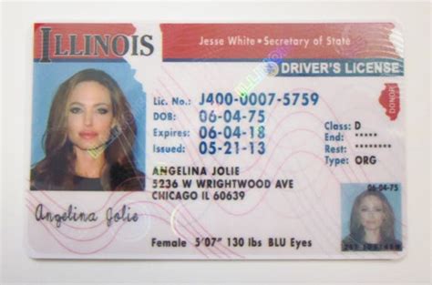 imitation  identity cards  licenses  fair   club ids