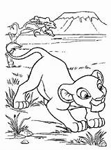 Simba Coloring Lion King Fun Kids Votes sketch template