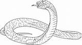 Coloring Cobra Pages King Snake Rattlesnake Drawing Anaconda Realistic Colouring Drawings Snakes Spitting Diamondback Western Printable Color Getcolorings Sheets Mucha sketch template
