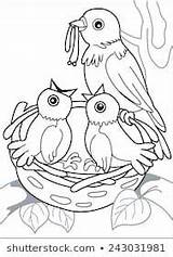 Nest Beaks sketch template