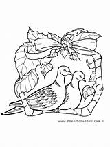 Taube Colombe Doves Ausmalbild Designlooter Coloriages sketch template
