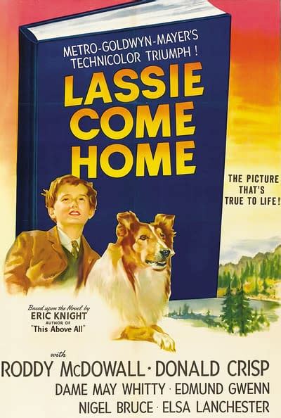 movies tv network lassie come home