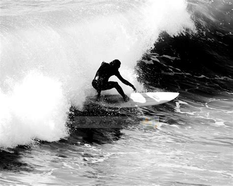 silver surfer surfing life in black and white 8x10 b w