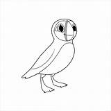 Puffin Coloringbay sketch template