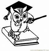 Coruja Pedagogia Toga Tudodesenhos Owls Pequena Búho sketch template