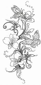 Coloring Swirls Blumen Metacharis Papillon Schmetterling Fleur Papillons Malvorlagen Schmetterlinge Ausmalen Coloriages Adultes Patrones Mandalas Erwachsene Brandmalerei Tatouage Blumenranken Motyle sketch template