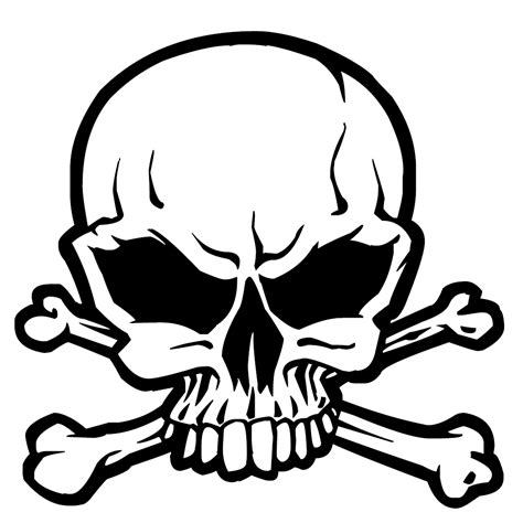 skull clipart images    clipartmag