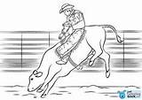 Coloring Pages Rodeo Printable Roping Calf sketch template