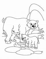Coloring Animals Bear Pages Their Babies Mother Cub Baby Father Cubs Polar His Young Ones Drawing Waiting Kids Logo Chicago sketch template